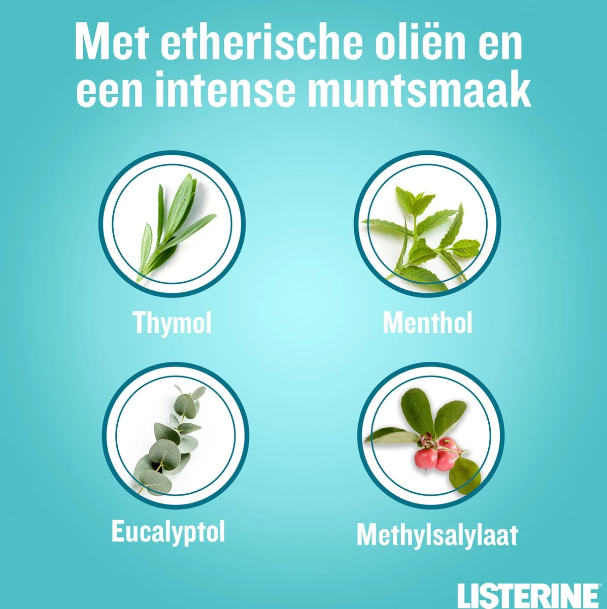 LISTERINE® Fresh Mint, Mondspoeling Met Essentiële Oliën Voor Een Langdurig Frisse Adem, 3x600ml - Afbeelding 6