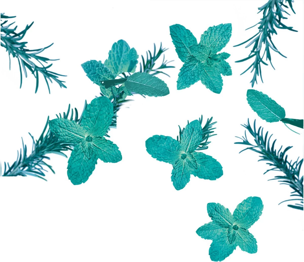 Kneipp Goodbye Stress - Douche Foam - Afbeelding 2