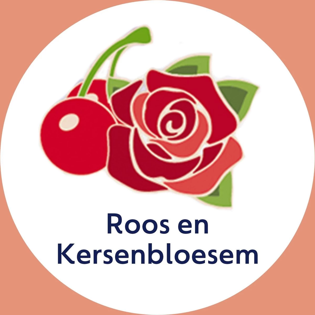 Dettol - Handzeep - Zachte Mousse - Antibacterieel - Roos & Kersenbloesem - 6 X 250 Ml - Afbeelding 2