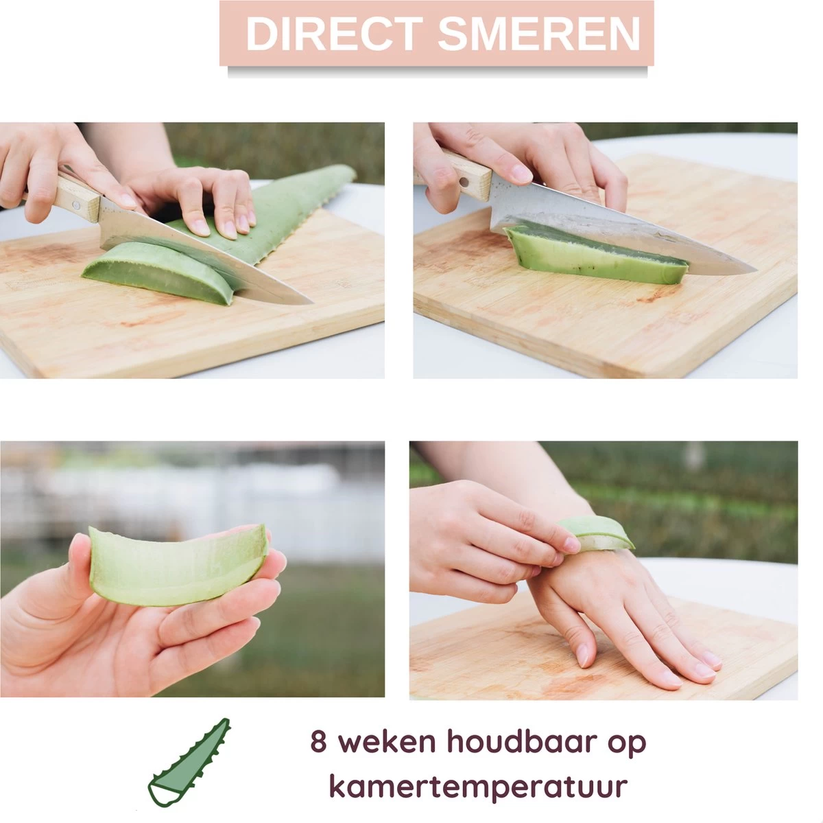 Dr. Green® 1x- Aloë Vera Blad - MAAK GEL IN 3 MINUTEN - 100% Puur - Biologisch - Afbeelding 3