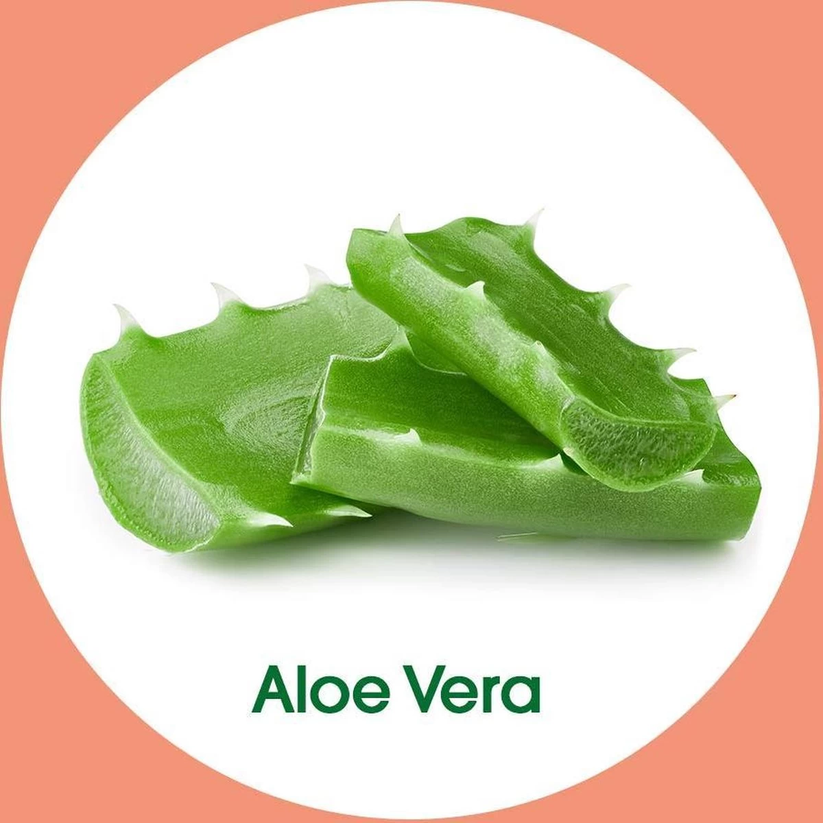 Dettol - Handzeep - Verzachtend – Aloe Vera - 250ml X12 - Afbeelding 3