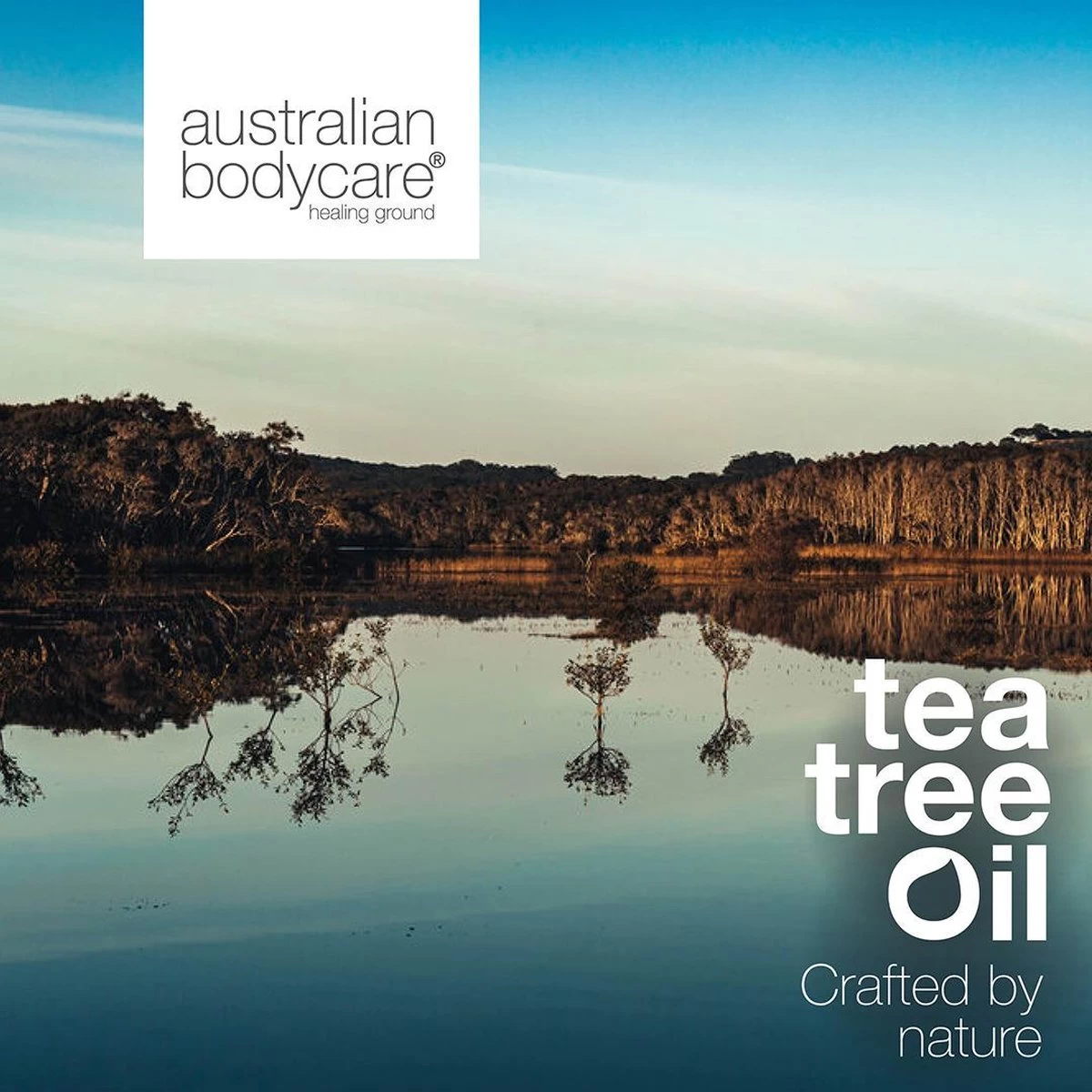 Australian Bodycare Hand Wash 500 Ml - Vochtinbrengende & Effectieve Handzeep Met 100% Natuurlijke Tea Tree Olie - Effectief Tegen Vuil - Houdt De Goede Flora Van De Huid In Balans - Geschikt Voor Alle Huidtypen - Afbeelding 2