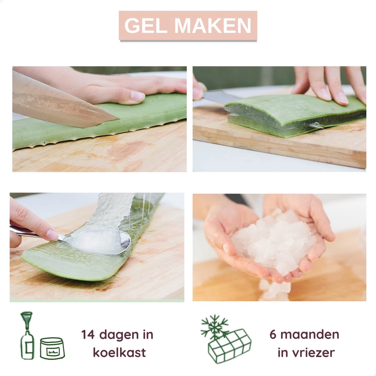 Dr. Green® 1x- Aloë Vera Blad - MAAK GEL IN 3 MINUTEN - 100% Puur - Biologisch - Afbeelding 4