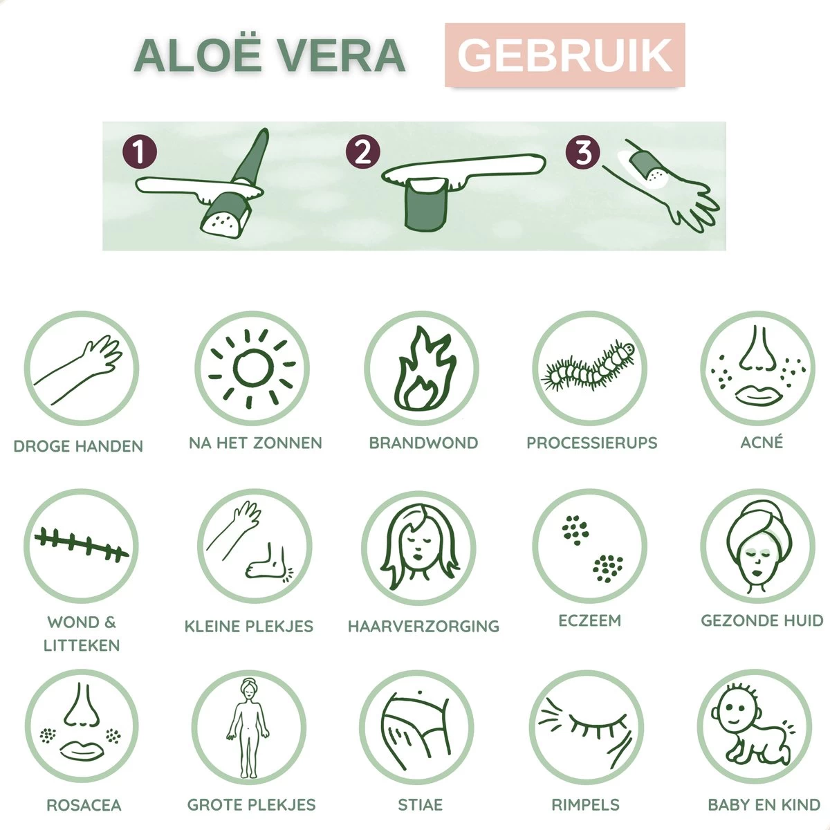 Dr. Green® 1x- Aloë Vera Blad - MAAK GEL IN 3 MINUTEN - 100% Puur - Biologisch - Afbeelding 10