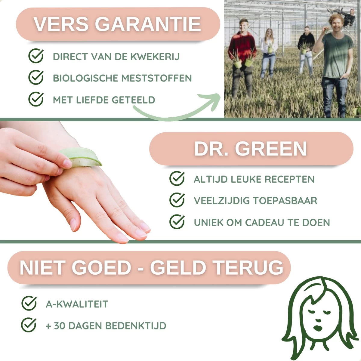 Dr. Green® 1x- Aloë Vera Blad - MAAK GEL IN 3 MINUTEN - 100% Puur - Biologisch - Afbeelding 11