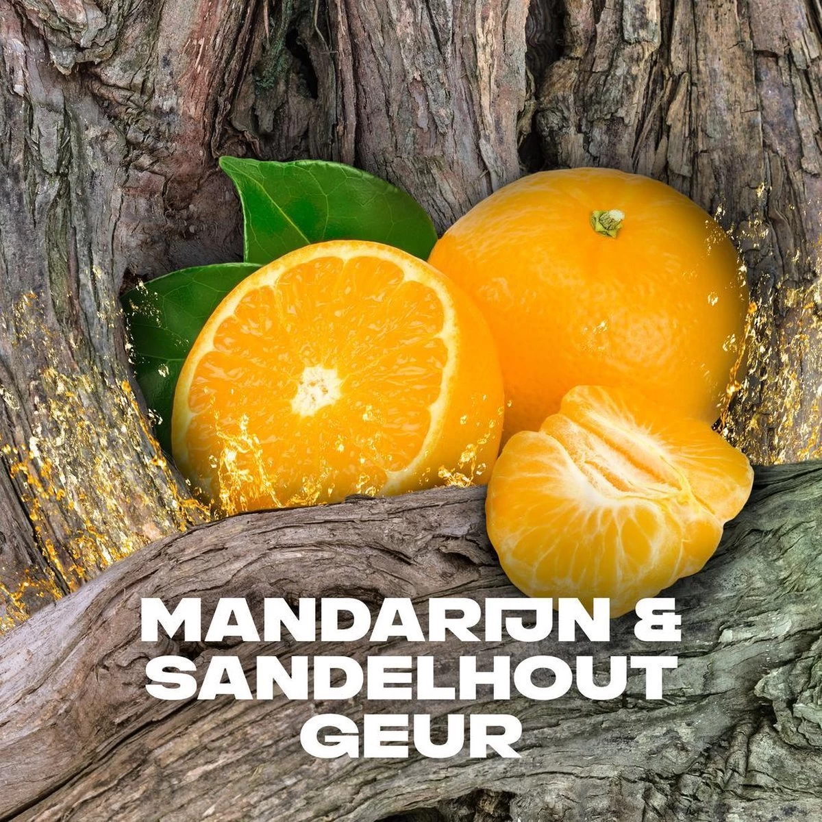 Axe Africa 3-in-1 Douchegel - 6 X 250 Ml - Voordeelverpakking - Afbeelding 6