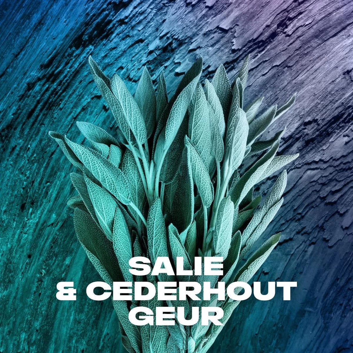 Axe Apollo Showergel - 6 X 250 Ml - Voordeelverpakking - Afbeelding 9