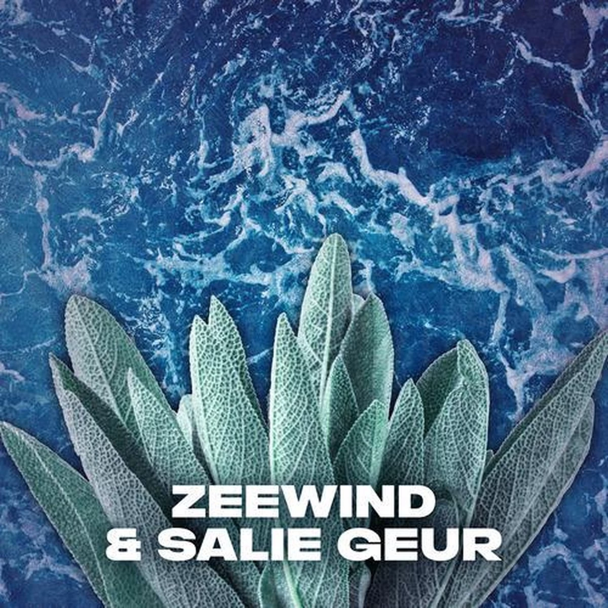 Axe Marine Bodyspray Deodorant - 6 X 150 Ml - Voordeelverpakking - Afbeelding 6