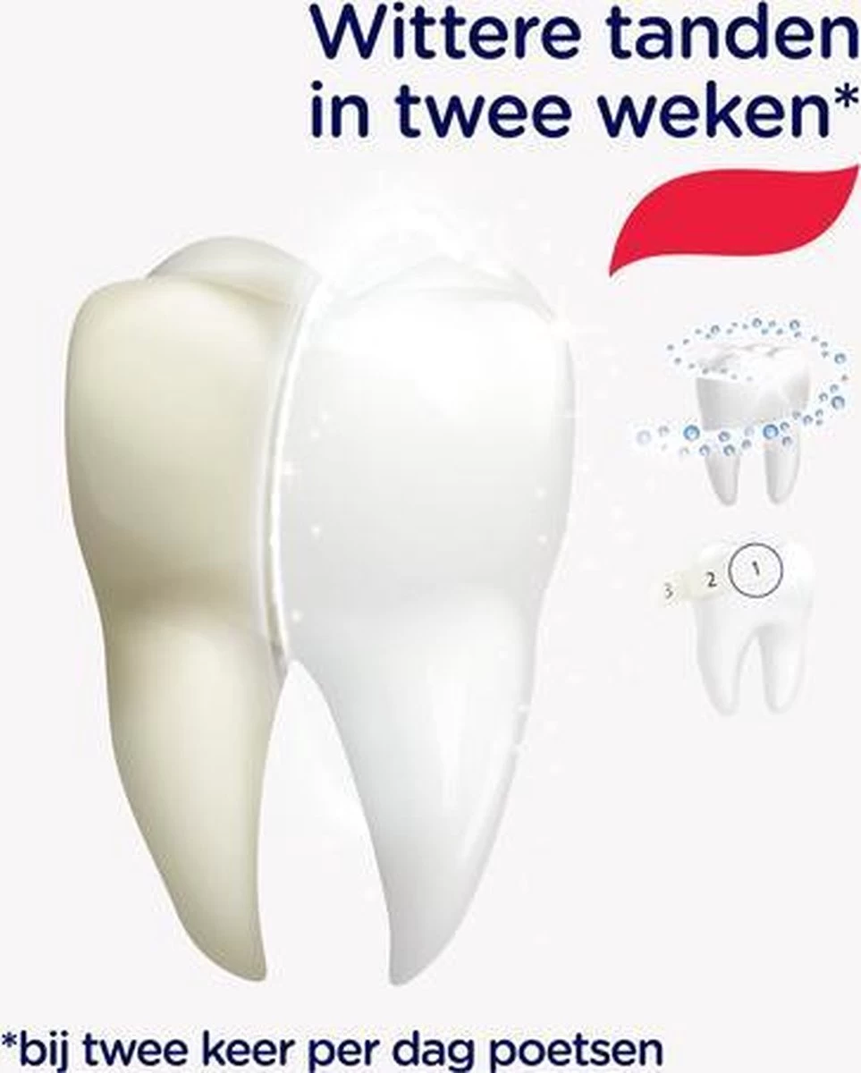 Prodent Whitening System Tandpasta - 12 X 75 Ml - Voordeelverpakking - Afbeelding 8